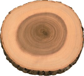 3504081_Plateau hout essen 24-26 cm rond_Koswa_van Hattem Horeca_1