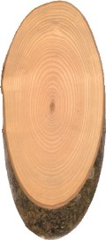 3504080_Plateau hout essen 33-40 cm_Koswa_van Hattem Horeca_1